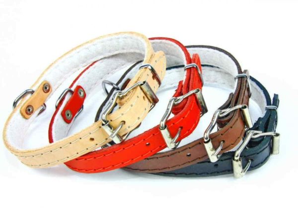 Obojok 1,5cm x 30cm, 1,5cm x 35cm, ... - Image 2