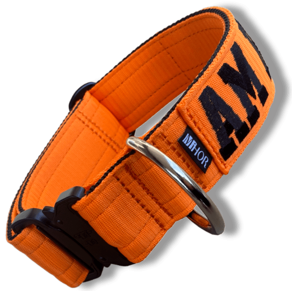 Obojok WARRIOR ORANGE s menom / tel. číslom - Image 2